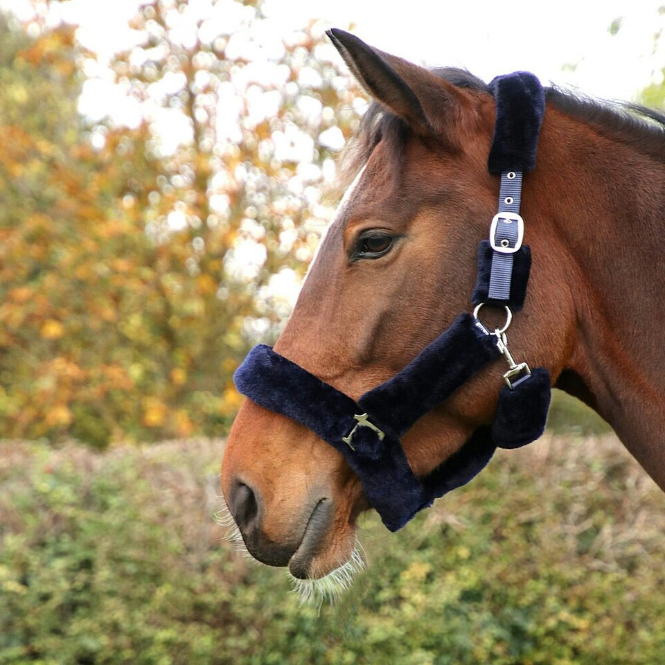 image 1 of Hy Fab Fleece Horse Headcollar - Navy - Pony
