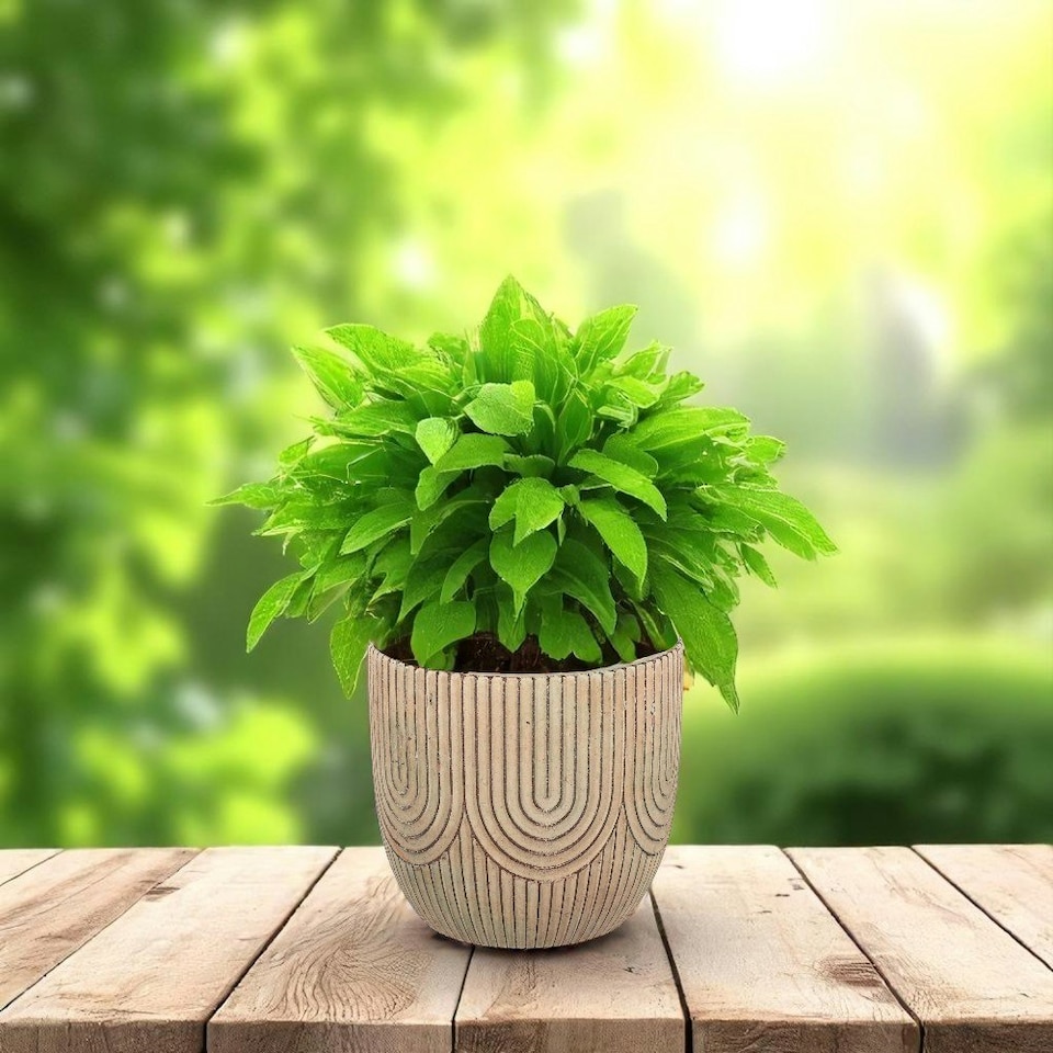 image 1 of Cement Art Deco Style Plant Pot - (H12.5 x W13.5cm) Multi
