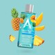 image 1 of Concentrated Disinfectant Tropical Breeze