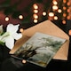 image 4 of David Roberts Art Card The Holy Tree of Metereah