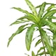 image 2 of 180cm Striped Dracaena Realistic Artificial Tree