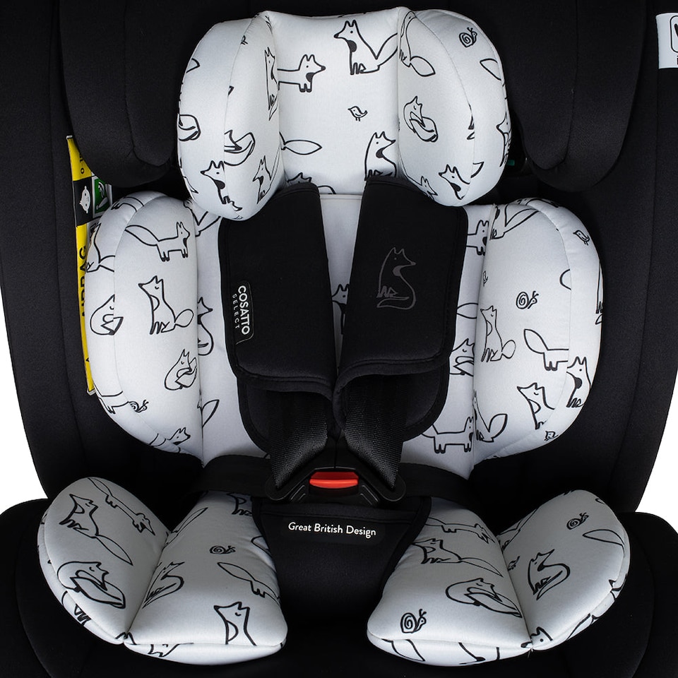 image 1 of Cosatto Get Set Grow iSize Extended Rear Facing Car Seat