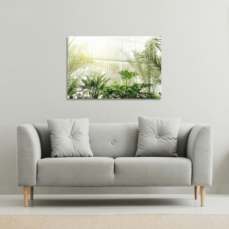 image 1 of Green plants in botanical gardens (Canvas Print) 101 x 77 x 4cm