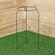 image 1 of Tom Chambers Green Metal Herbaceous Garden Plant Support Ring Small