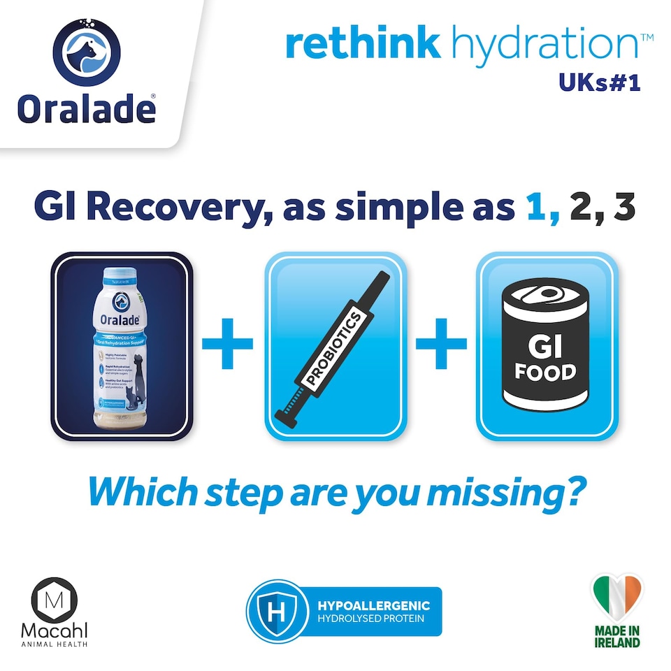 image 1 of Oralade Gi Support 500ml 3 Pack (3 x Single Bottles)