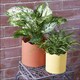 image 2 of Ceramic Indoor Plant Pot Honeycomb Yellow - H17.5cm