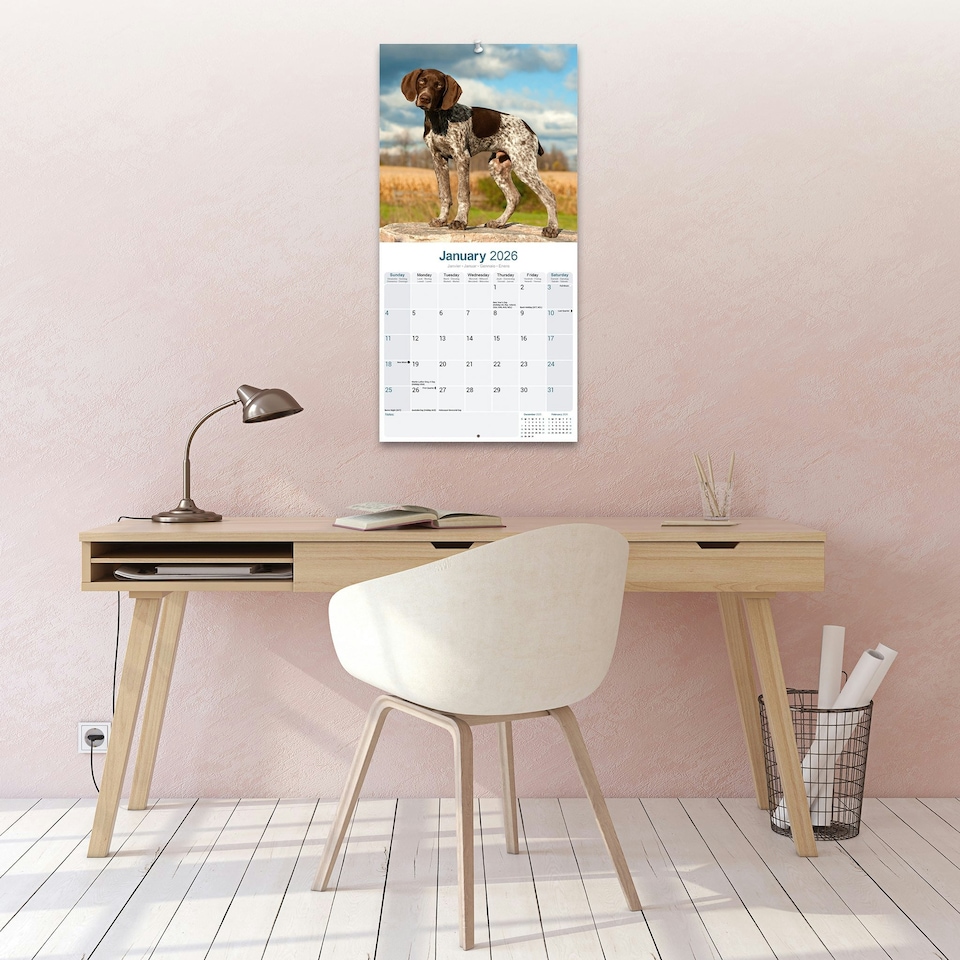 image 1 of German Shorthaired Pointer 2026 Calendar | Square Wall Calendar | Dog Breed Gift | Plastic Free Packaging | by Avonside Publishing