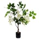 image 1 of 90cm Artificial White Wisteria Bush