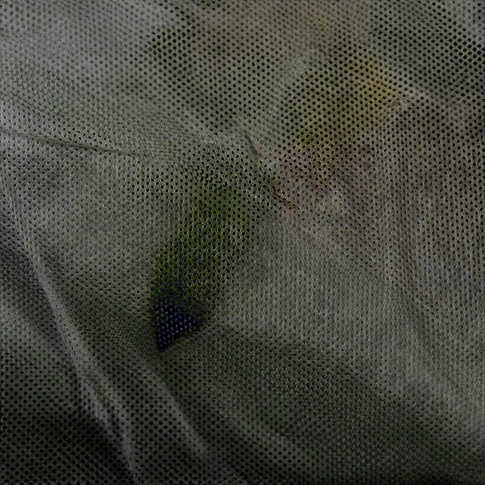 image 1 of Harbour Housewares Weed Control Membrane Set with Pegs & Plates - 1M x 10M (1 Roll) - Weed Fabric Garden Membrane Weed Membrane Flower Bed Membrane | White | 1m x 10m