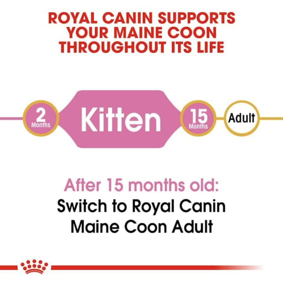 image 1 of Royal Canin Cat Maine Coon Kitten 4KG