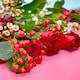 image 5 of Festive Flair Bouquet