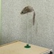 image 7 of PawHut TV-Shaped Cat House, Cardboard with Scratcher Catnip Toy Mouse
