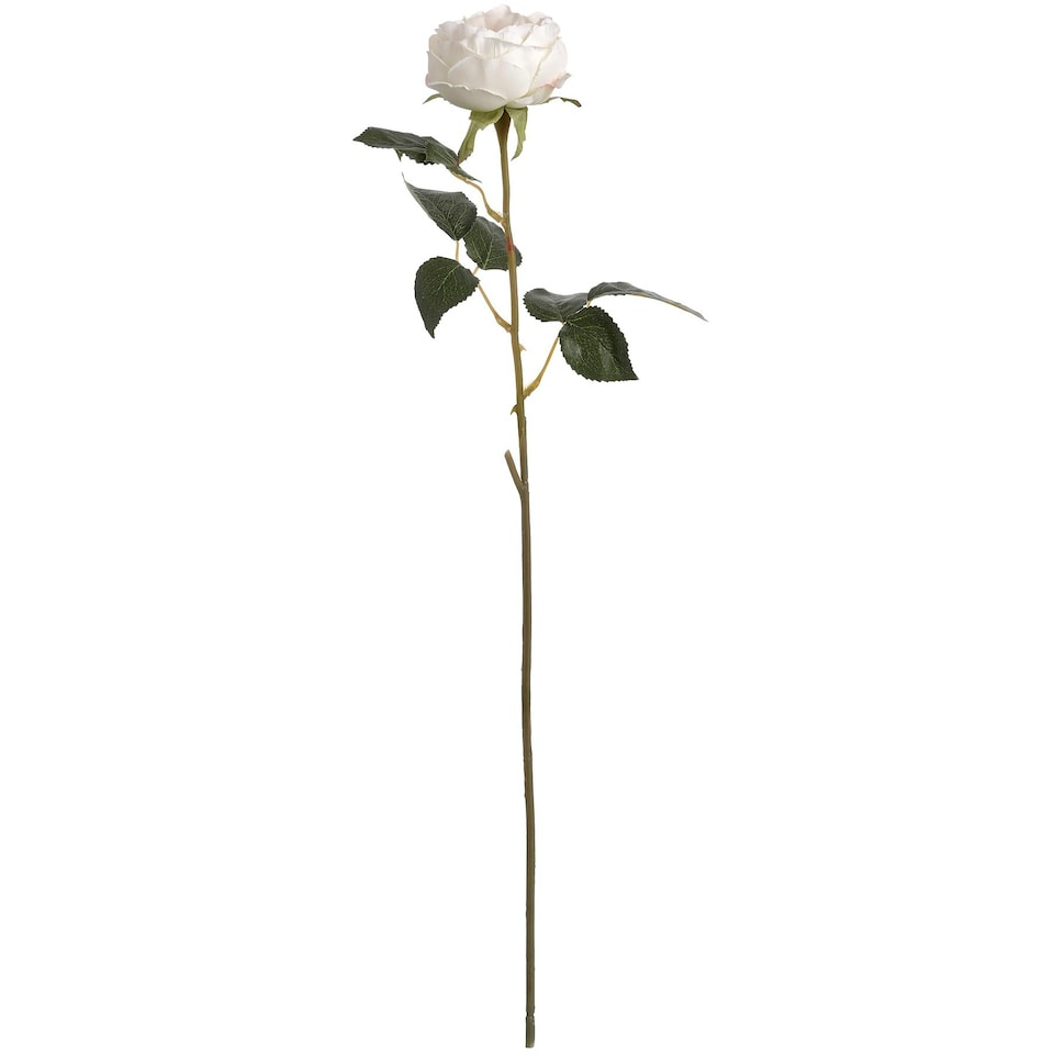 Hill Interiors Artificial Austin Rose - White/Blush Pink - One Size