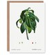 image 1 of Pierre-Joseph Redouté Art Card Spurge Laurel Vintage Botanical