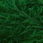 3228 Emerald | Green