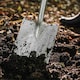 image 8 of Kent & Stowe - Stainless Steel Capability Digging Spade | Grey | 1 x Digging Spade