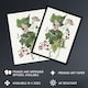 image 2 of Black and Yellow Warblers Audubon Nature Wall Art Poster Print 12X16"