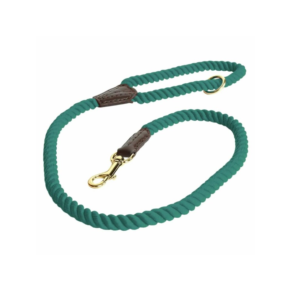 image 1 of Digby & Fox Twisted Dog Lead - Green - One Size
