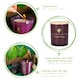 image 3 of Nicola Spring Soy Wax Scented Candles - 130g - Cinnamon & Orange - Pack of 3 | Purple | Purple