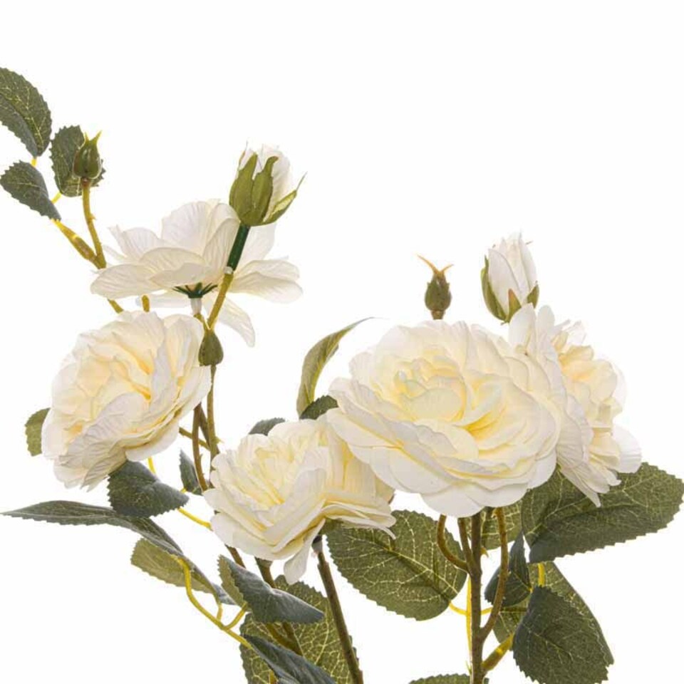 image 1 of Soft White Cottage Rose Stem Artificial Plant - Fabric/Plastic - L8 x W8 x H53 cm - Green