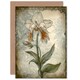 image 1 of Mothers Day Card Single Orchid Nouveau Pastel Mum Card
