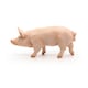 image 10 of PAPO Farmyard Friends Boar Toy Figure