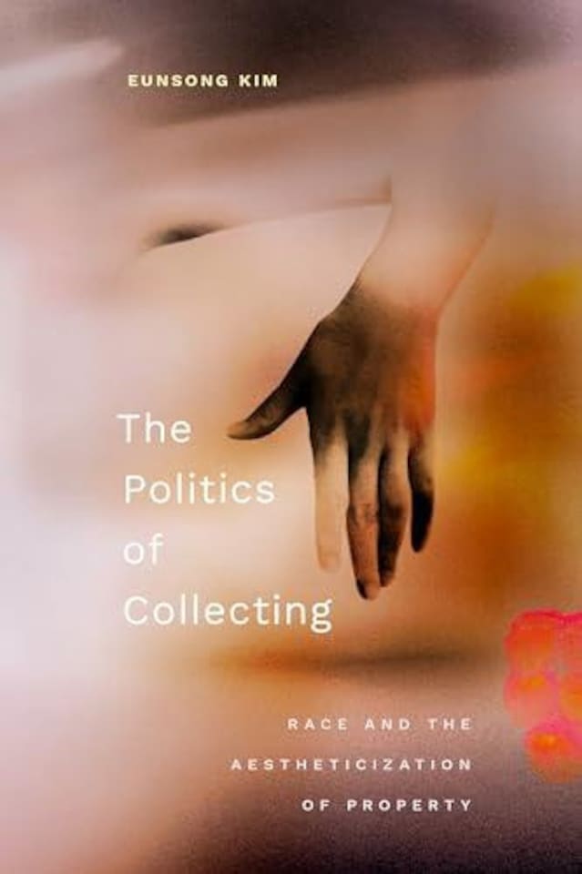 The Politics of Collecting Paperback Book
