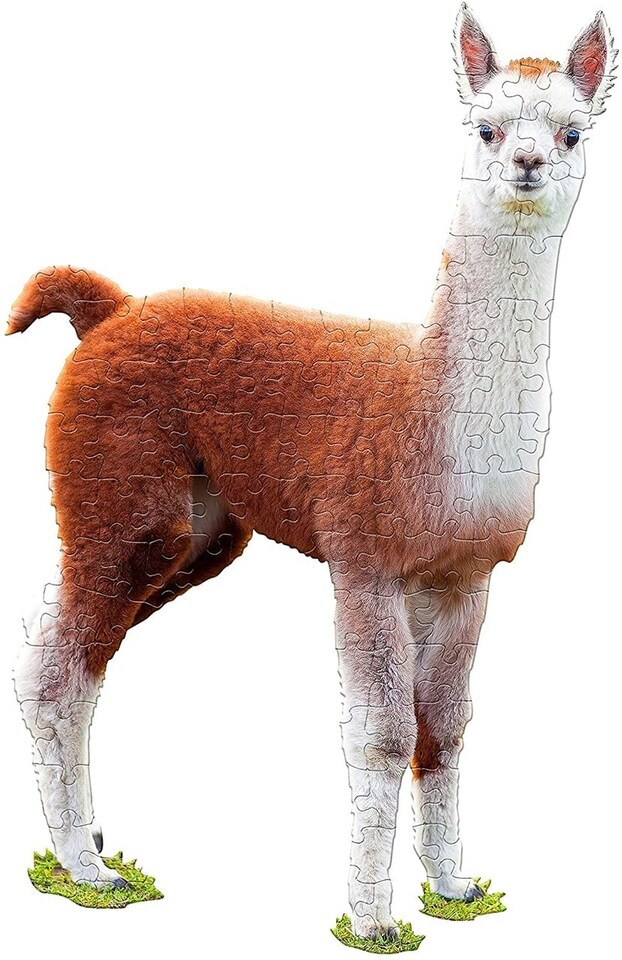 image 1 of Madd Capp I Am Lil 'Lama 100 Piece Jigsaw Puzzle