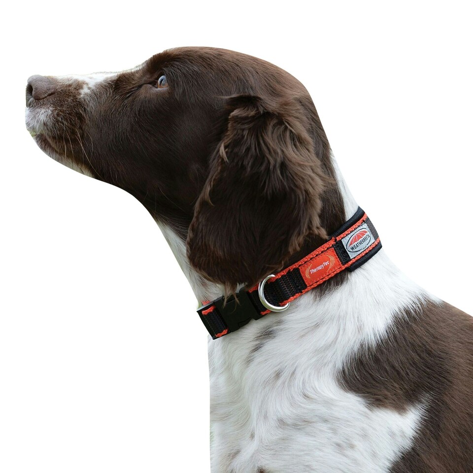 image 1 of Weatherbeeta Therapy-Tec Dog Collar - Black/Red - L