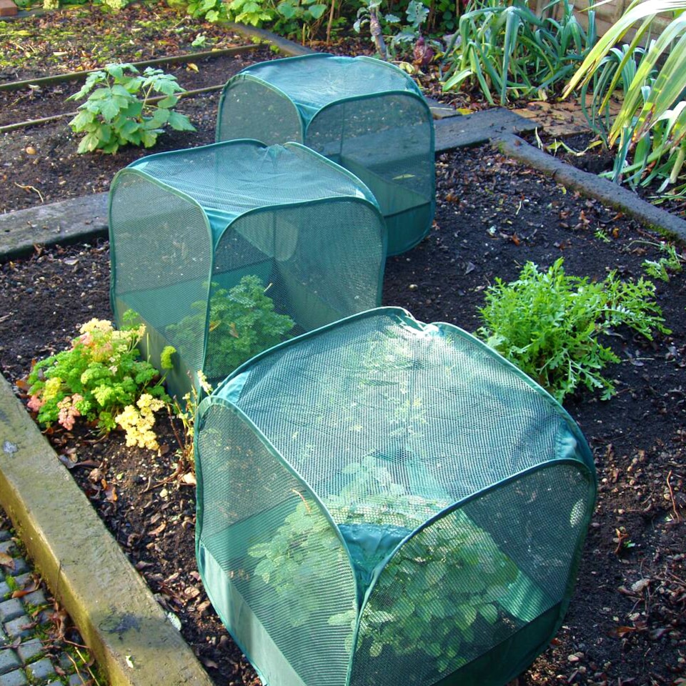 image 1 of GardenSkill Pop-Up Mini Net Plant Cover for Seedling & Flower - Garden Netting Grow House Cloche - Stops Birds, Insects - 2 Pack