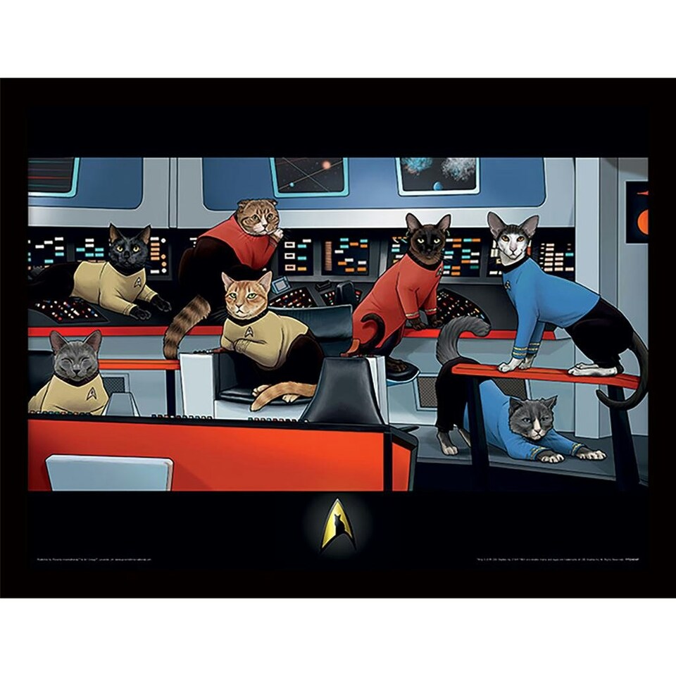Star Trek Cats (TOS Bridge Crew) Framed 30x40cm Print