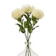 image 3 of Protea Lorea (Single Stem Flower) - Plastic - Height 73 cm - Cream