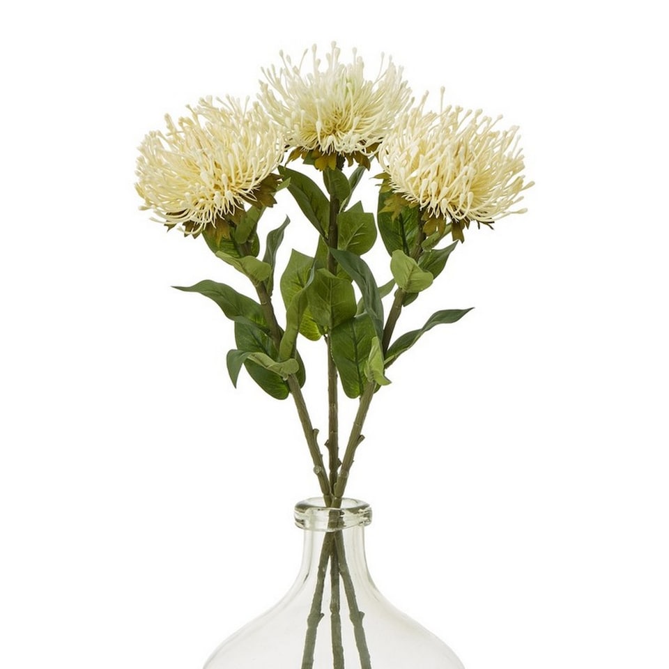 image 1 of Protea Lorea (Single Stem Flower) - Plastic - Height 73 cm - Cream