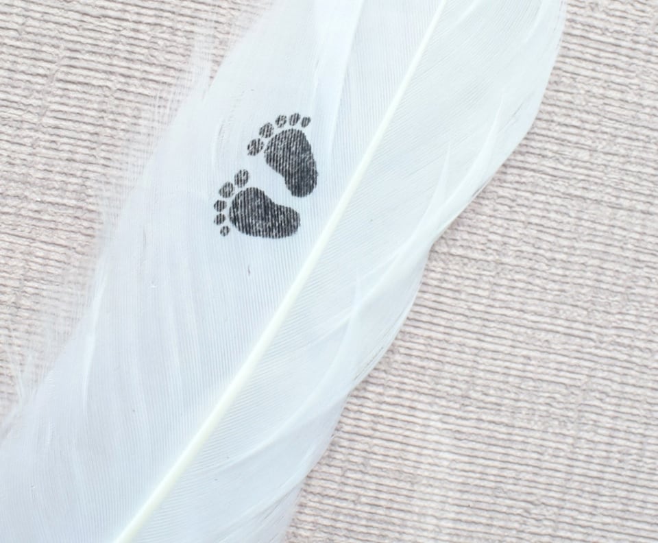 image 1 of In Memory of Baby. Baby Feet Real feather Floating Picture Frame