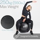 image 3 of Anti-Burst Gym Ball (65cm)