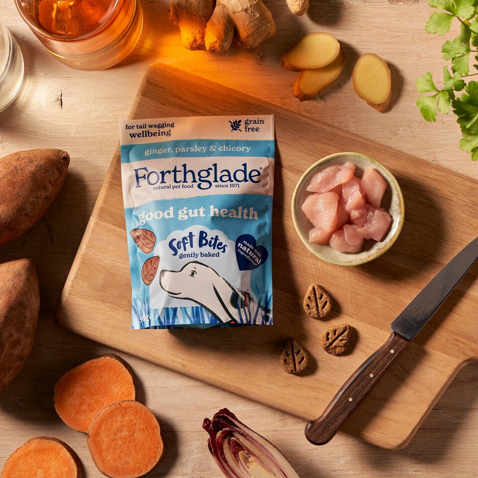image 1 of Parsley, Ginger & Chicory Digestive Soft Bite Dog Treats (8x90g)