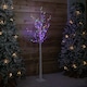image 3 of 1.8m (6ft) Outdoor Christmas Light Up White Birch Tree with 80 Multicoloured LEDs