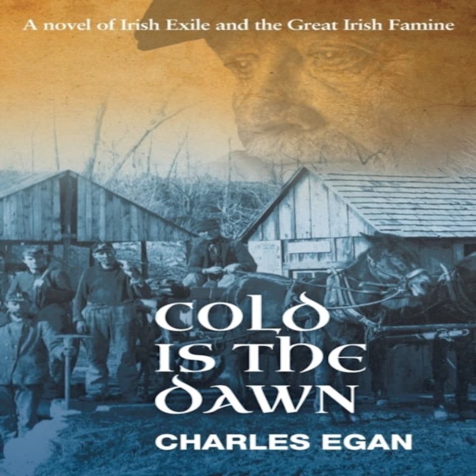 Cold Is The Dawn: A Novel Of Irish Exile