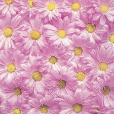 IHR Lunch Napkins Spring Forever Pink 33cm 3ply 20 Pack