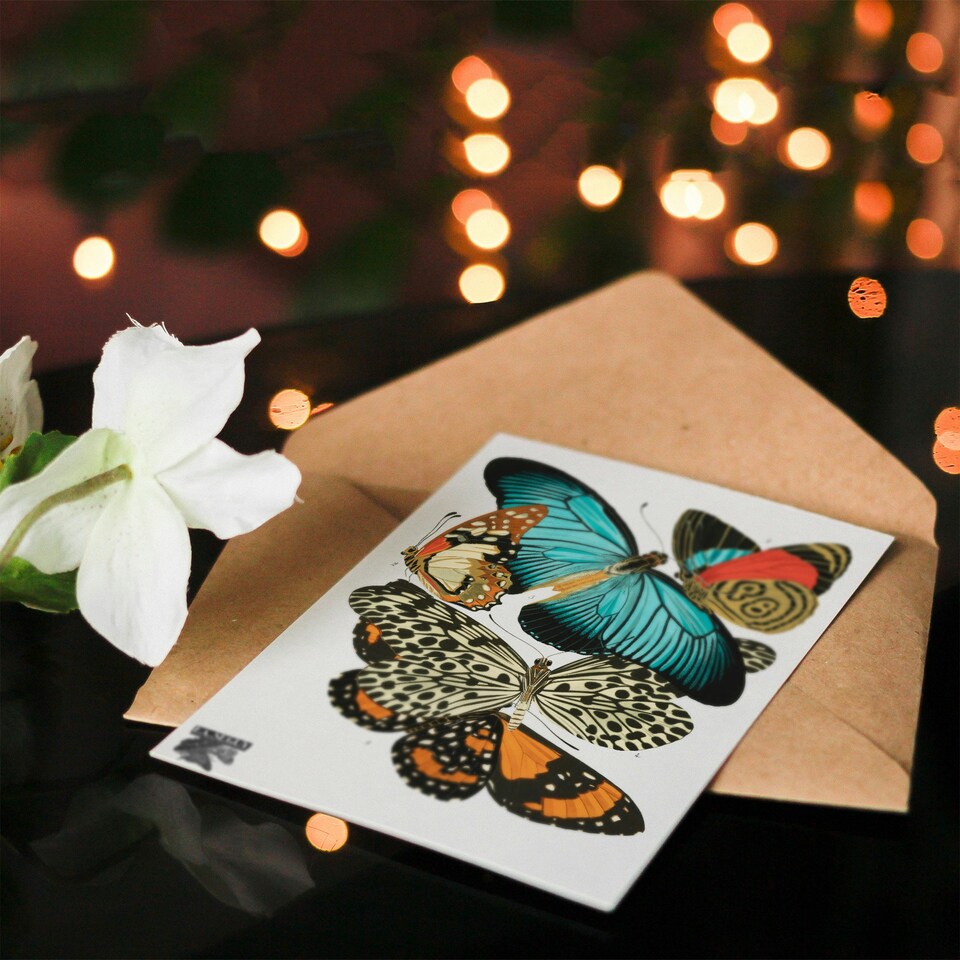image 1 of Eugene Seguy Art Card Vintage Butterflies Blue and Orange