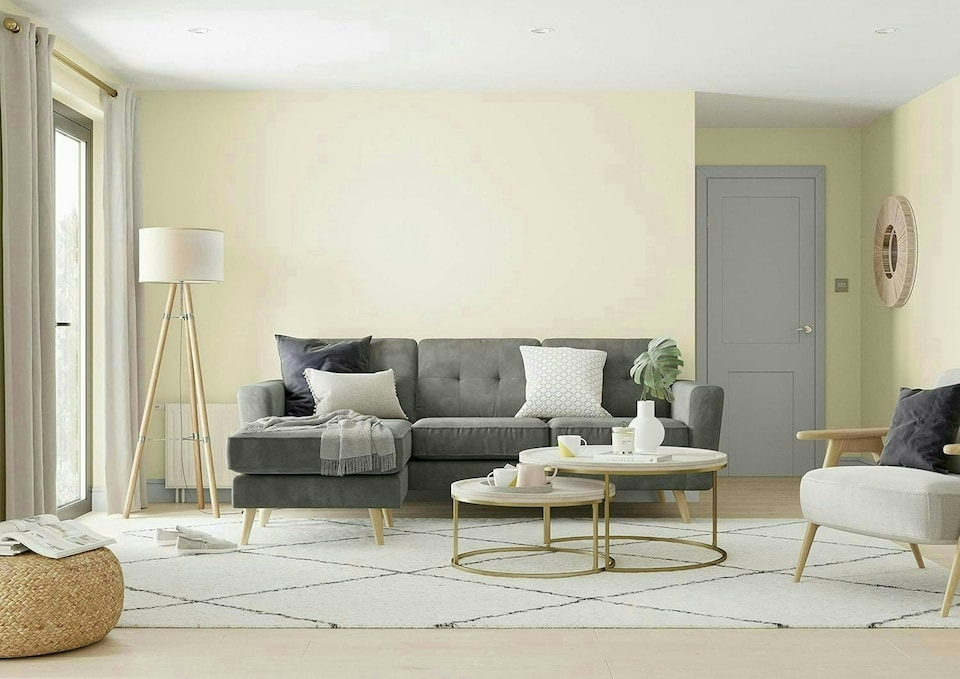 image 1 of Dulux Matt 2.5L Daffodil White