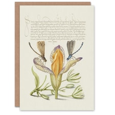 Model Book of Calligraphy Art Card Damselflies on Spanish Iris