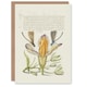 image 1 of Model Book of Calligraphy Art Card Damselflies on Spanish Iris