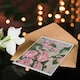 image 4 of Hannah Borger Overbeck Art Card Prairie Rose Flowers