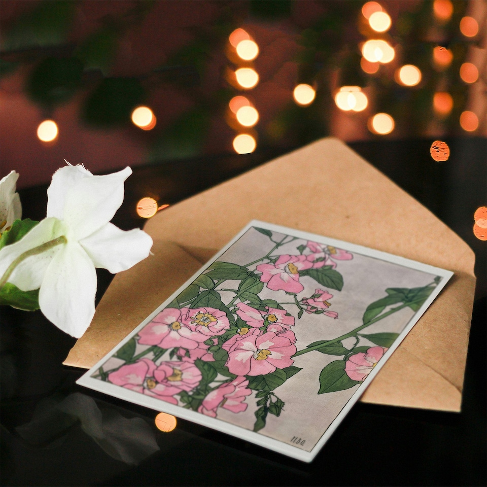 image 1 of Hannah Borger Overbeck Art Card Prairie Rose Flowers