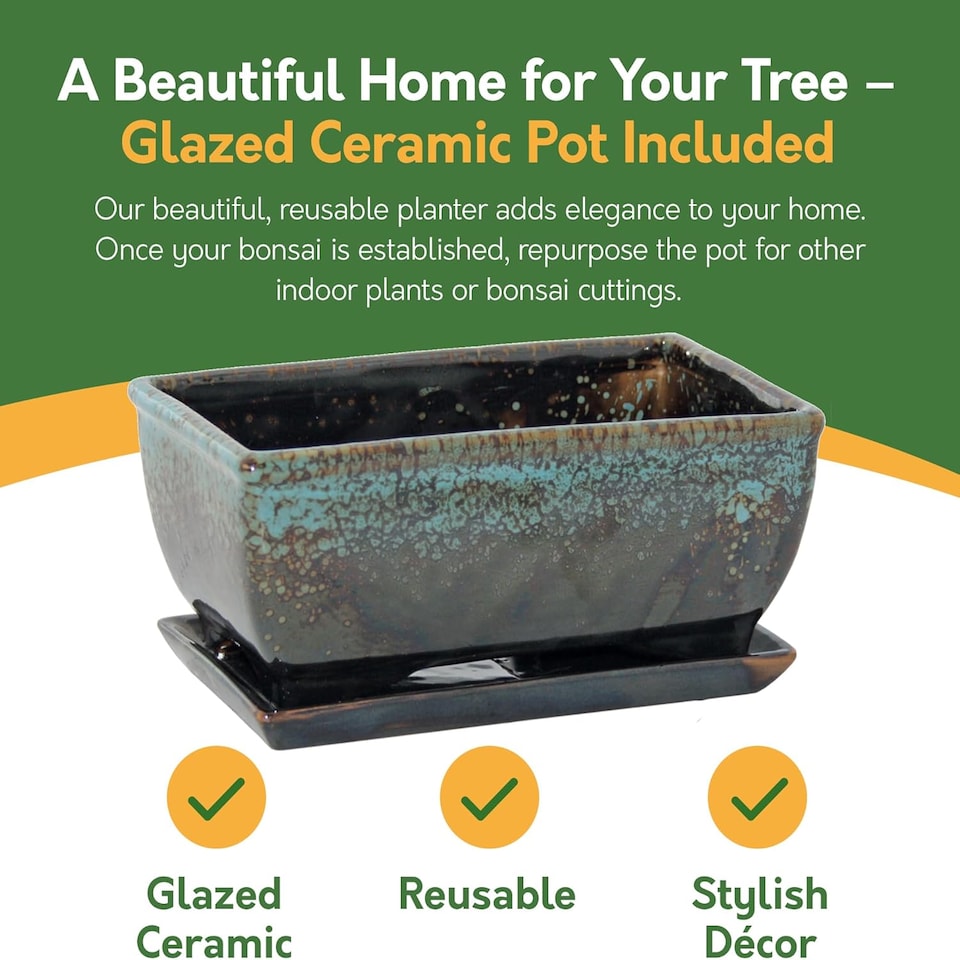 image 1 of Pronto Seed Bonsai Tree Kit with Traditional Bonsai Pot & 3 Bonsai Seed Varieties - Grow Your Own Bonsai - Gardening Gifts for Men