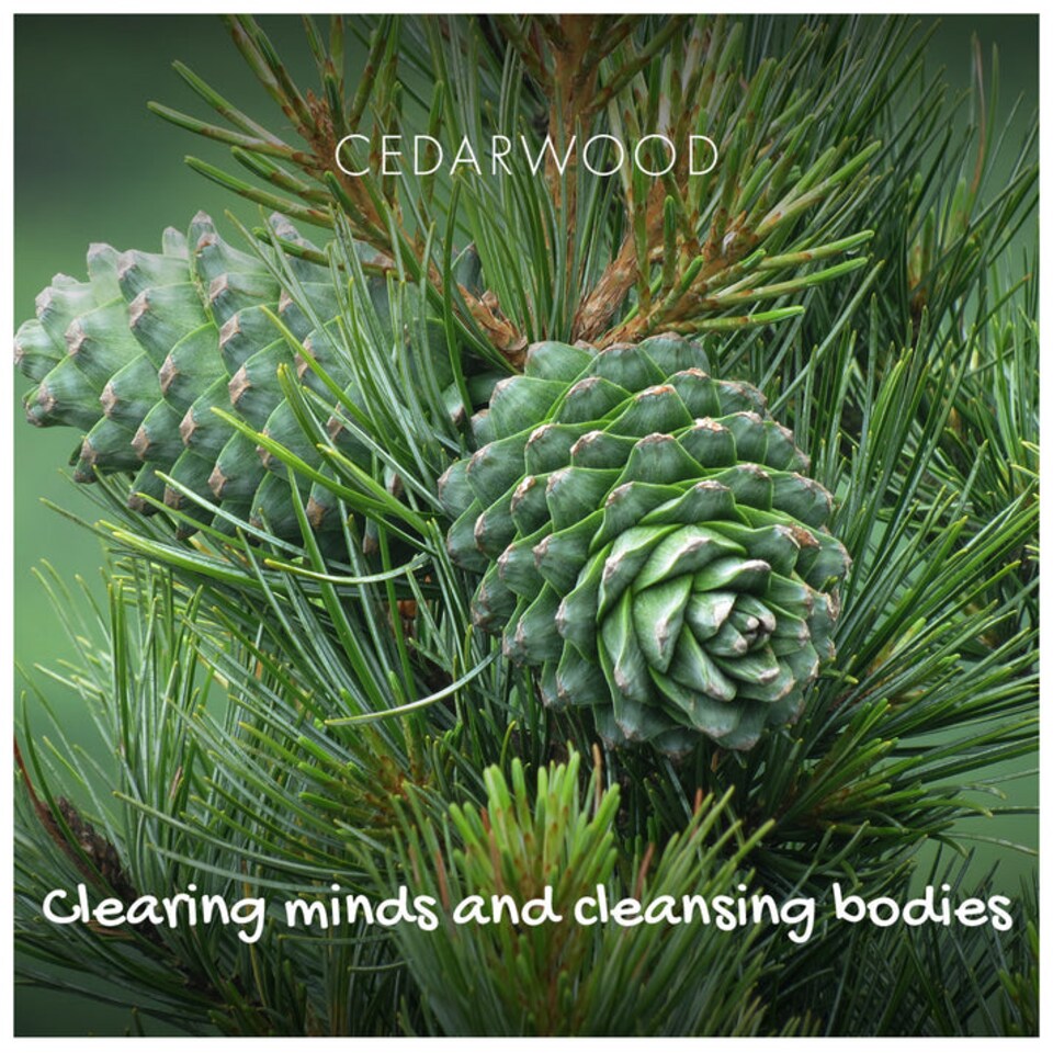 image 1 of 4 x Natural Cedarwood Soap Bar - 4 Pack | Brown | 1