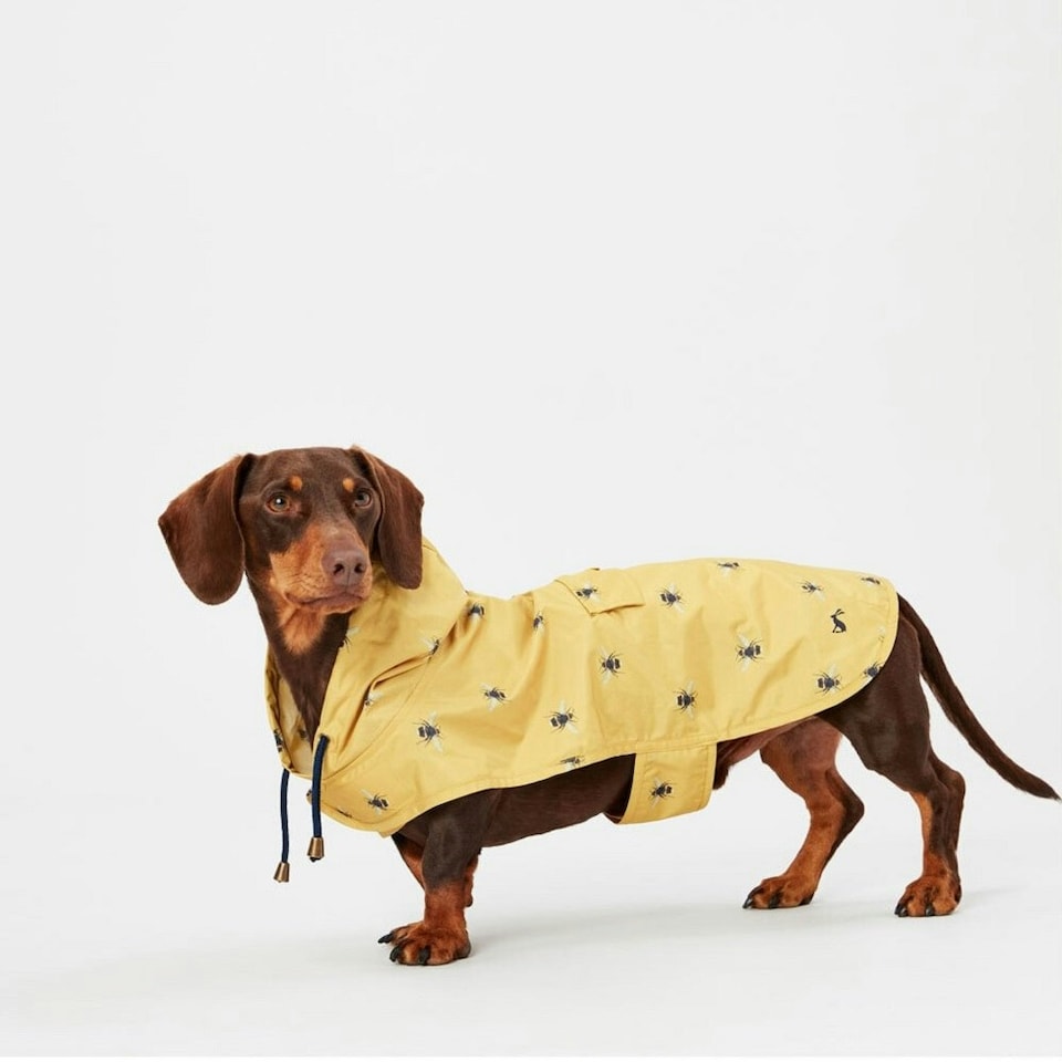 image 1 of Joules GoLightly Packaway Dog Coat - Yellow - S