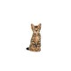 image 3 of Royal Canin Cat Kitten Sterilised 3.5KG