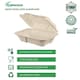 image 6 of Bagasse Sugarcane Takeaway Meal Boxes 9x6 Clamshell Food Containers TUV Home Compostable Certified, Unbleached, PFAS Free & Sturdy for Hot & Cold Food, Restaurants, BBQs Parties